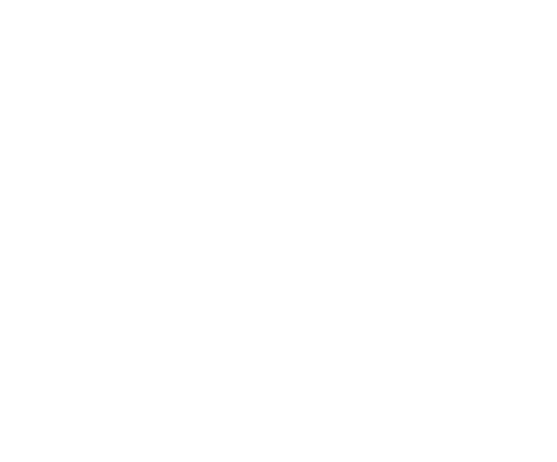 Silk Road Logo